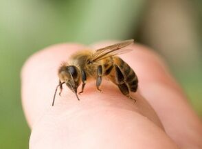 ペニス増大のための蜂の刺し傷